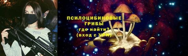 тгк Аркадак