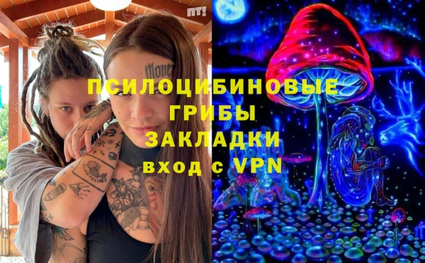 тгк Аркадак