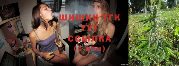 тгк Аркадак