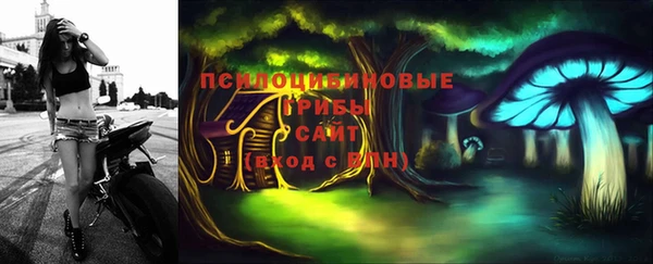 тгк Аркадак
