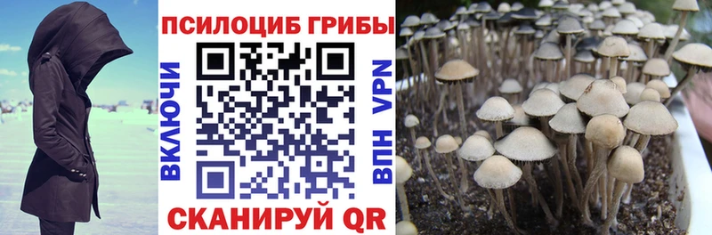 Галлюциногенные грибы GOLDEN TEACHER  Буй 